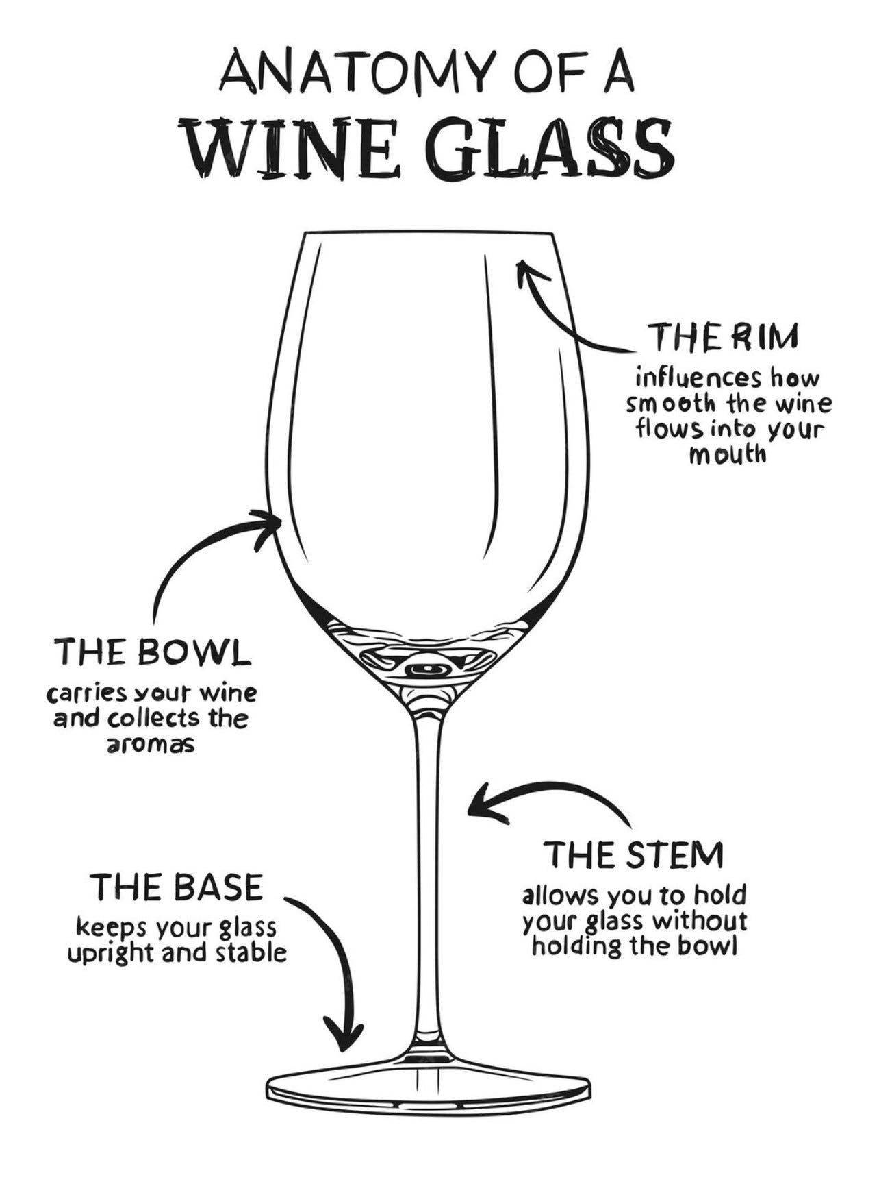 Importance of a Wine Glass - Harriet's Grape Escape