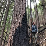 Voices of the Valley