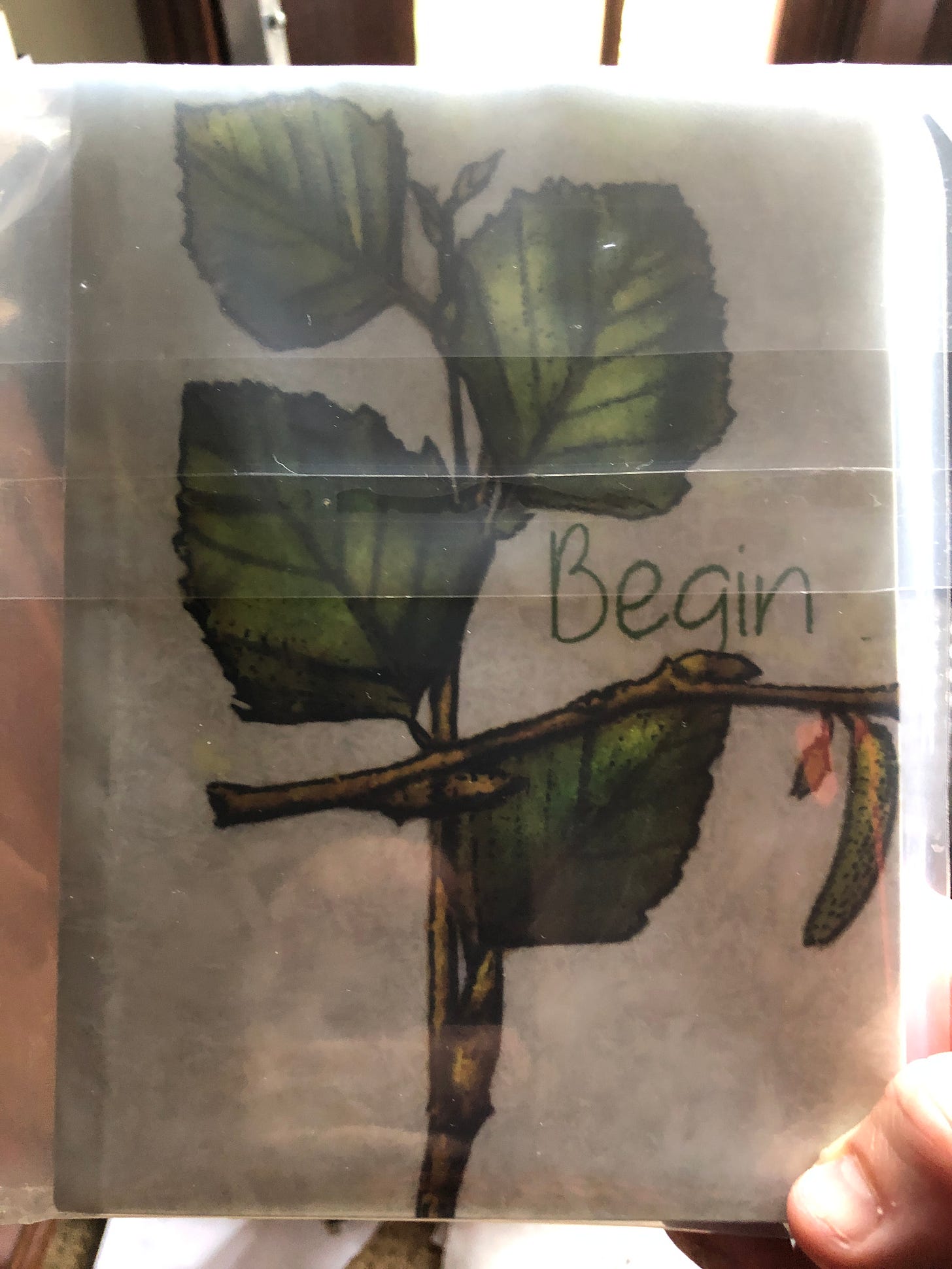 blank notebook with cover art of birch drawing and the word BEGIN blank notebook with cover art of birch drawing and the word BEGIN