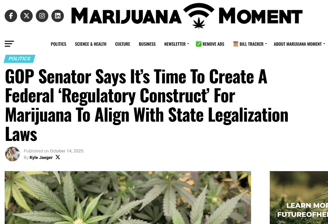 Screengrab of Marijuana Moment story Ask a Pol collaborated on by selling Tillis interview to them Screengrab of Marijuana Moment story Ask a Pol collaborated on by selling Tillis interview to them