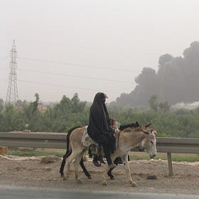 three rules for living in an apocalypse