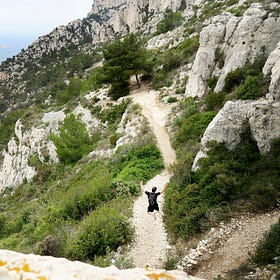 Les sentiers de trail, comment ça marche ?