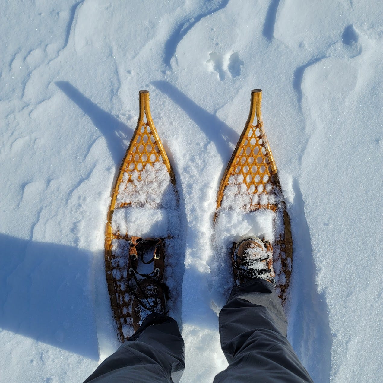 Snowshoes ready for a morning walk.