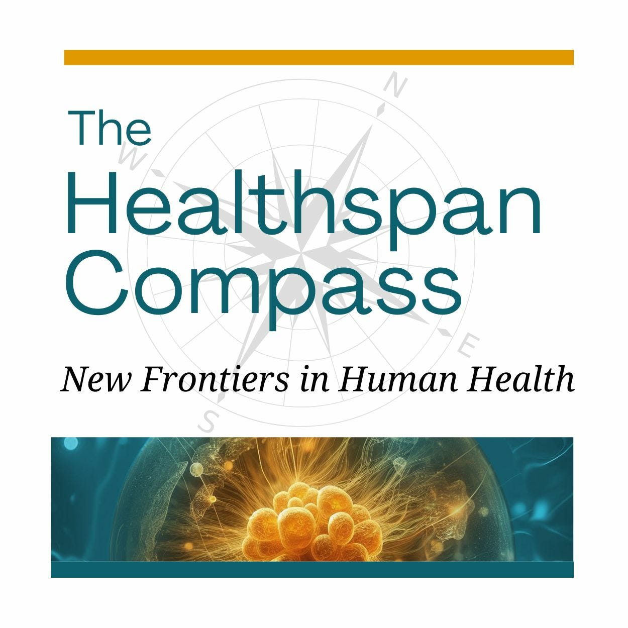 The Healthspan Compass