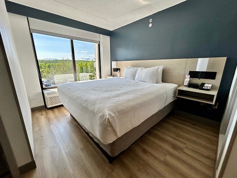 hotel, room, floor, walls, decor, bed