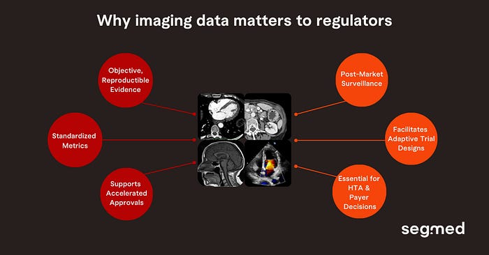Why Imaging Data Matters to Regulators- Segmed
