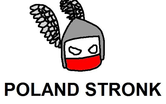 Tak powinien wyglądać prawilny Poland Stronk. ( ͡º ͜ʖ͡º ...