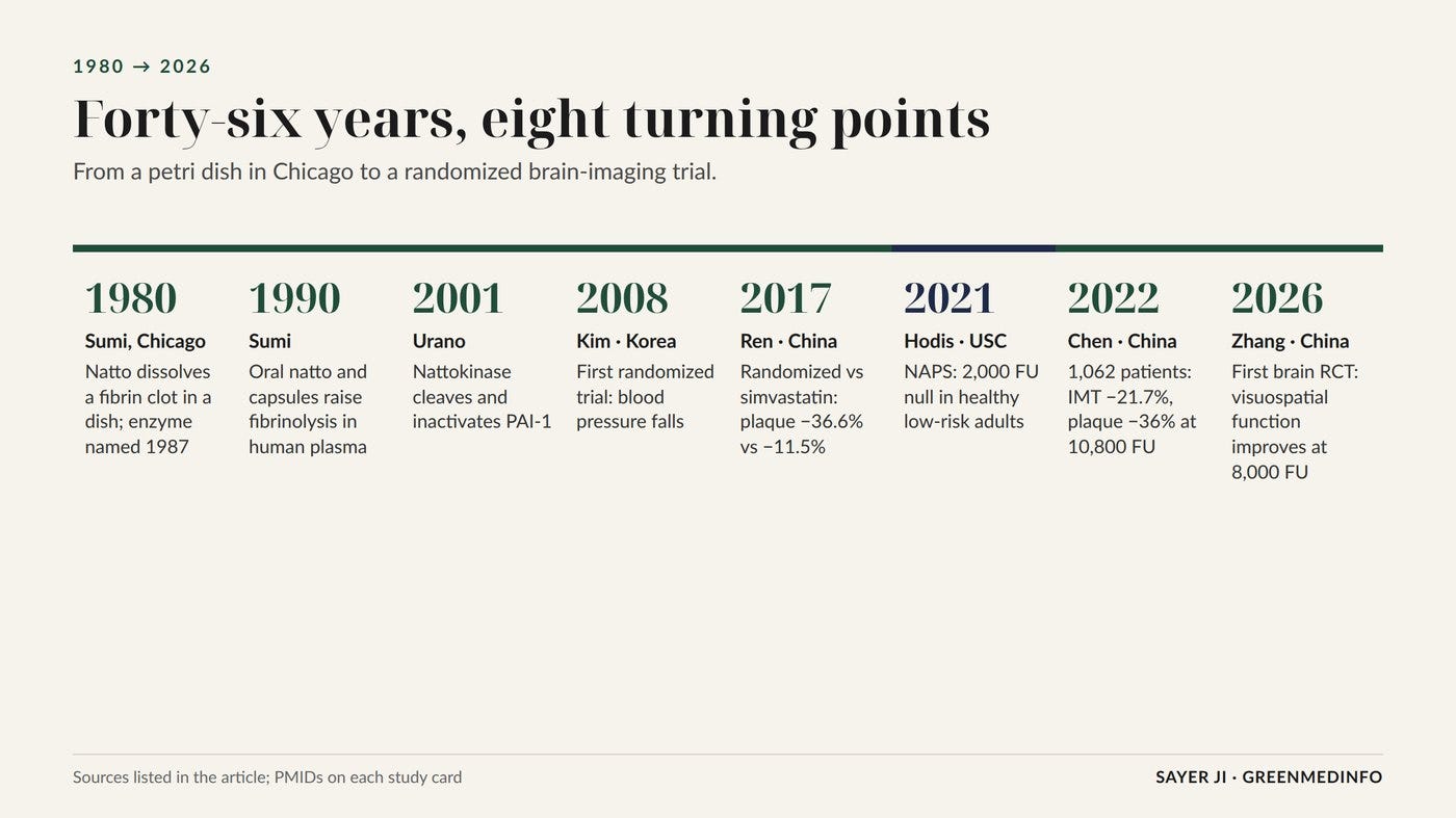Eight turning points in 46 years of nattokinase research, from discovery to the first randomized brain-imaging trial.