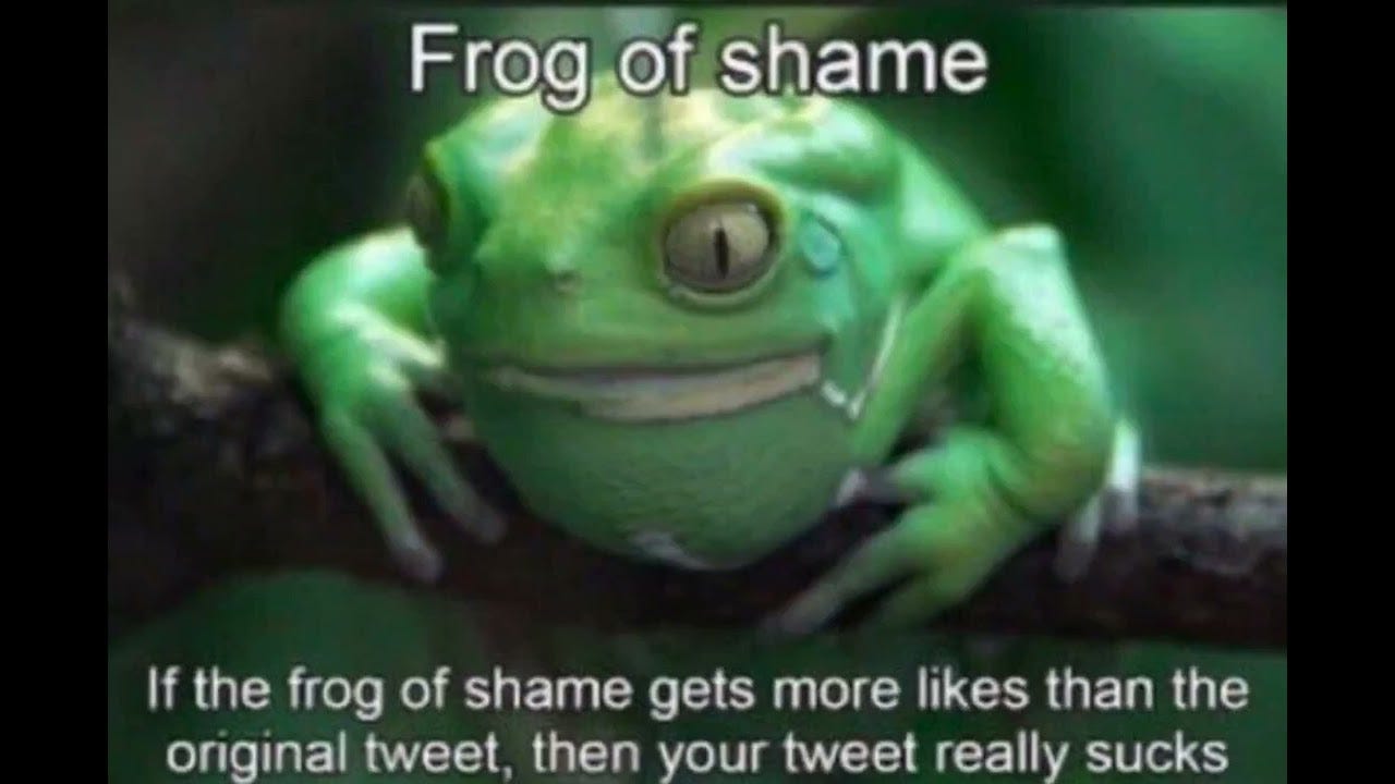 FROG OF SHAME - YouTube