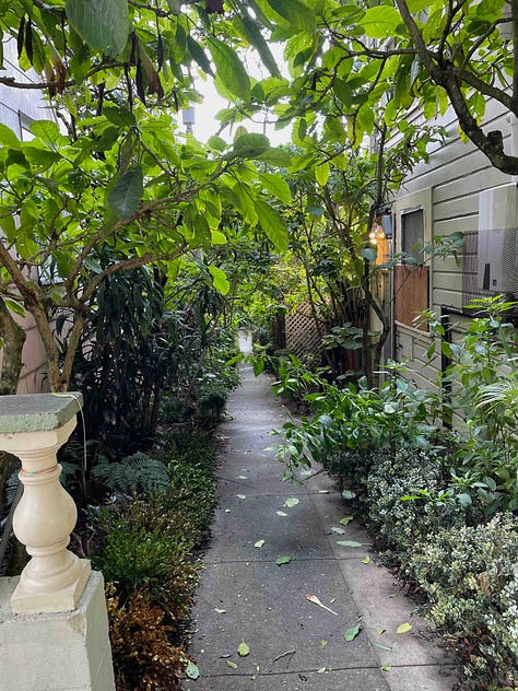 Photos in San Francisco by Sabrina Simpson