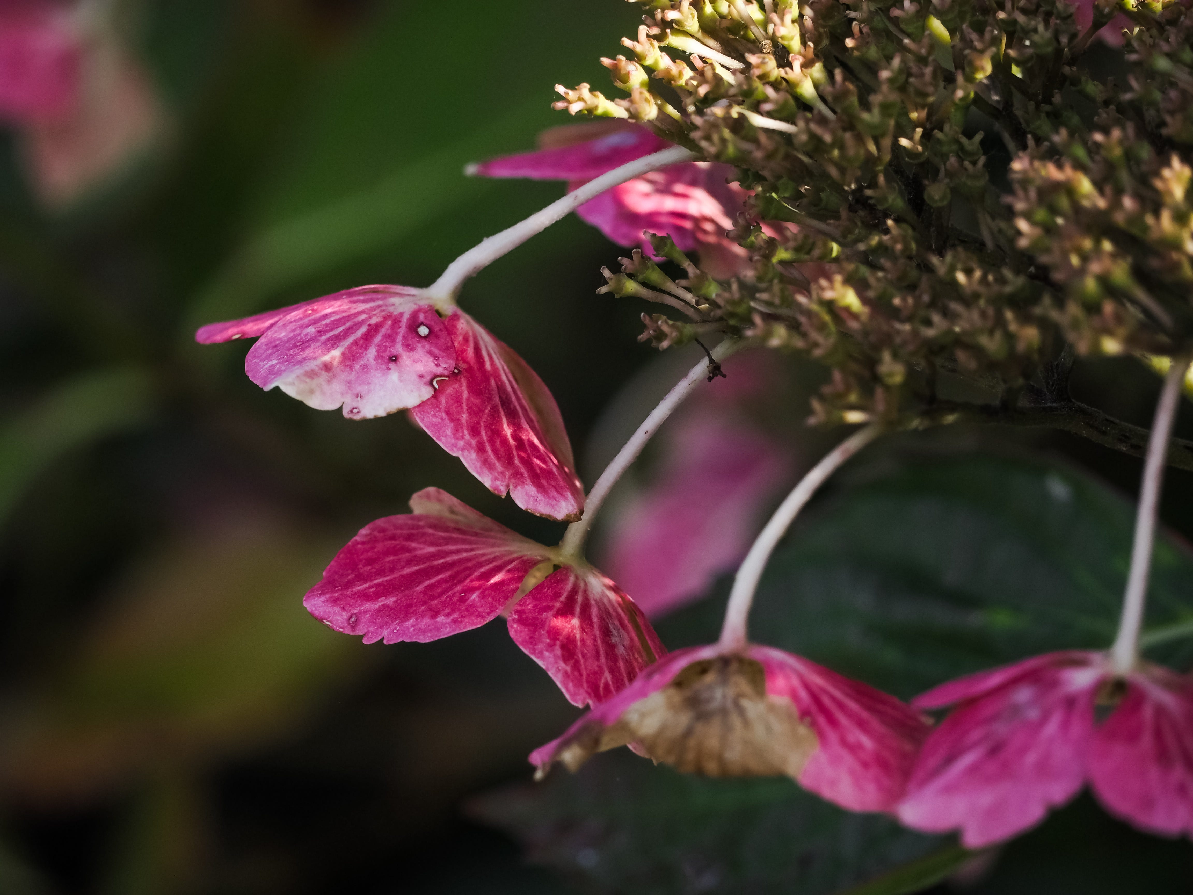 Slow Notes: Thoughts on slowing down and savouring the season