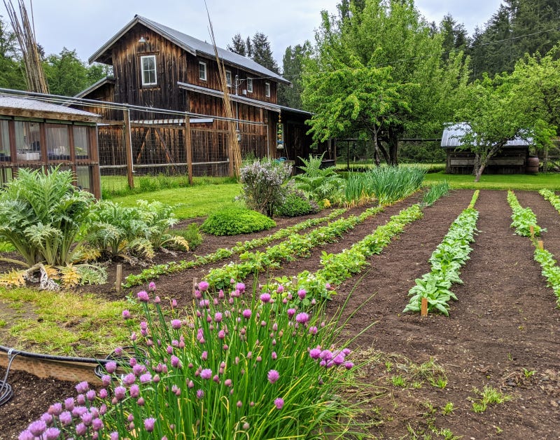 Garden 3
