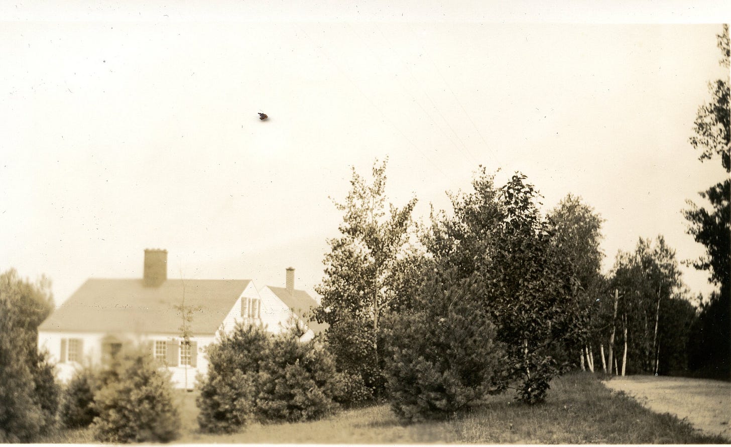 house with road