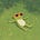 Beth's avatar