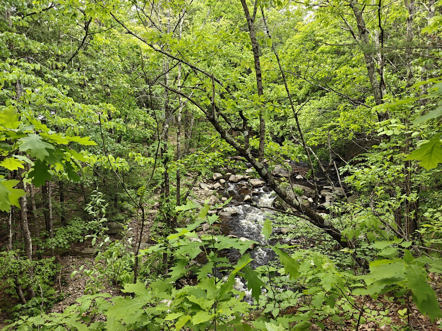 A Trek Along the Cocheco Railroad
