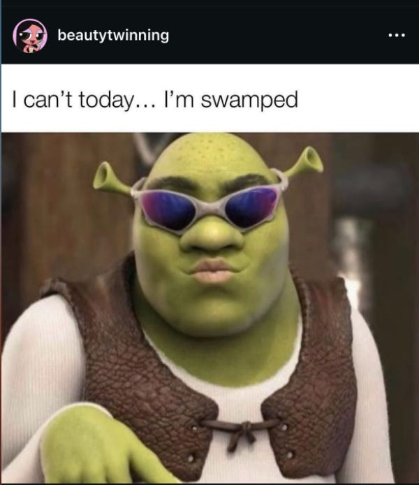 slay sassy shrek meme slay sassy shrek meme