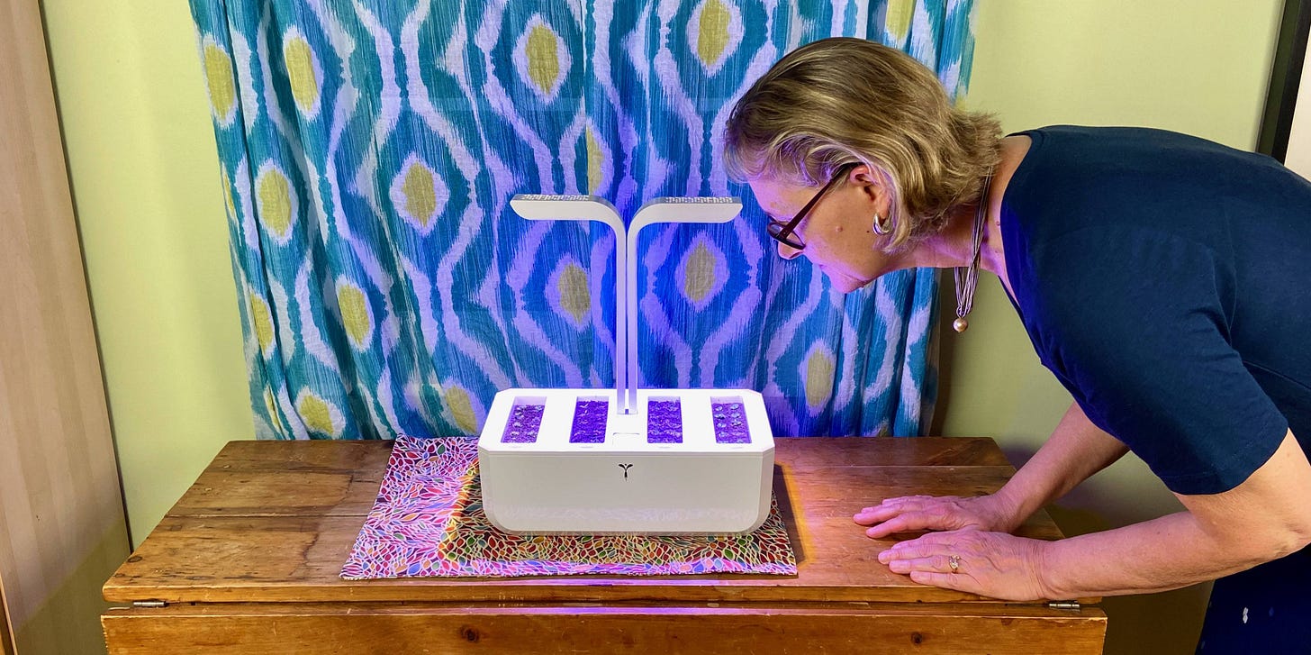 Dawn and I are obsessed with the seedlings in our new tabletop garden. (Ron Charles/The Washington Post)
