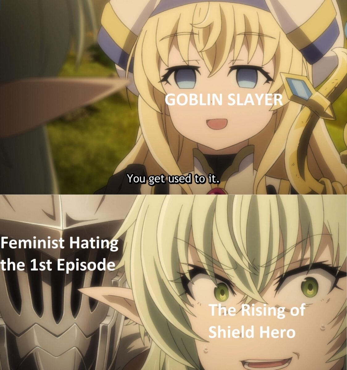 Goblin Slayer Feminist Anime Ban