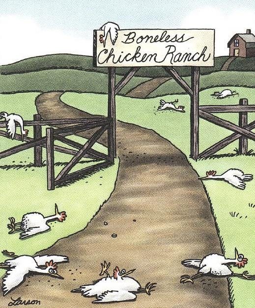 Boneless Chicken Ranch : r/TheFarSide Boneless Chicken Ranch : r/TheFarSide