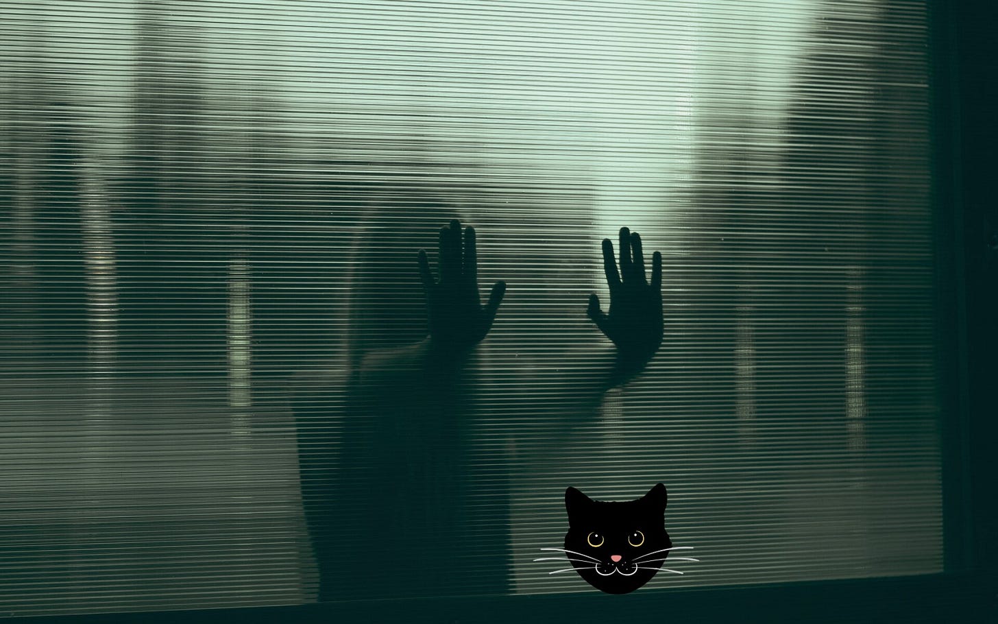 Image of person behind a screen and a cat face on the other side Image of person behind a screen and a cat face on the other side