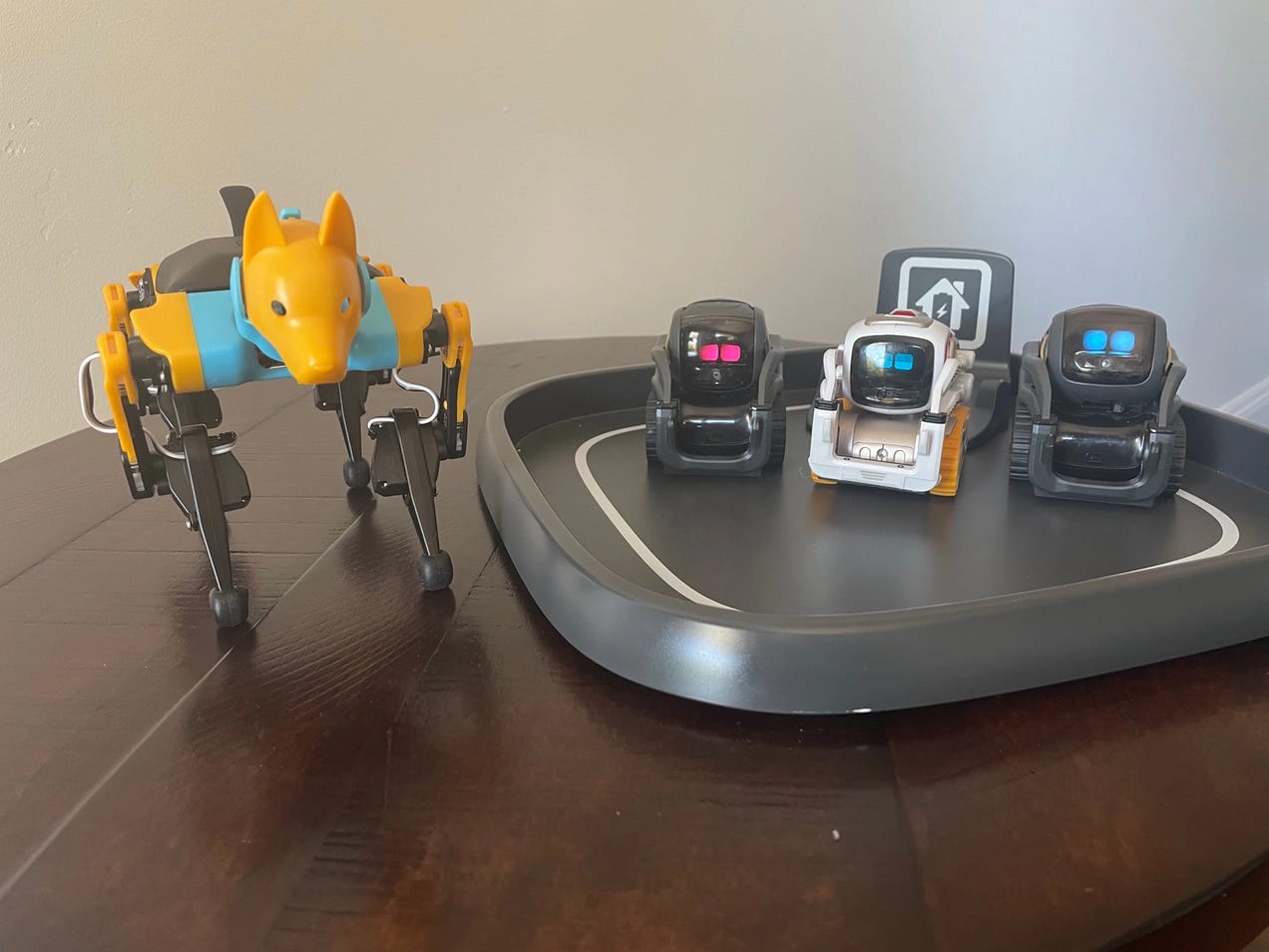 About - Learn With A Robot