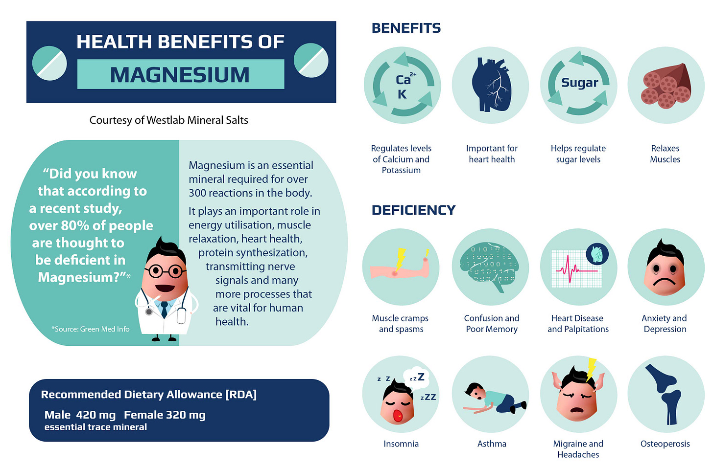 https://cdn.shopify.com/s/files/1/1431/9148/files/Health_benefits_of_magnesium_amended_for_Westlab_Use-01.jpg