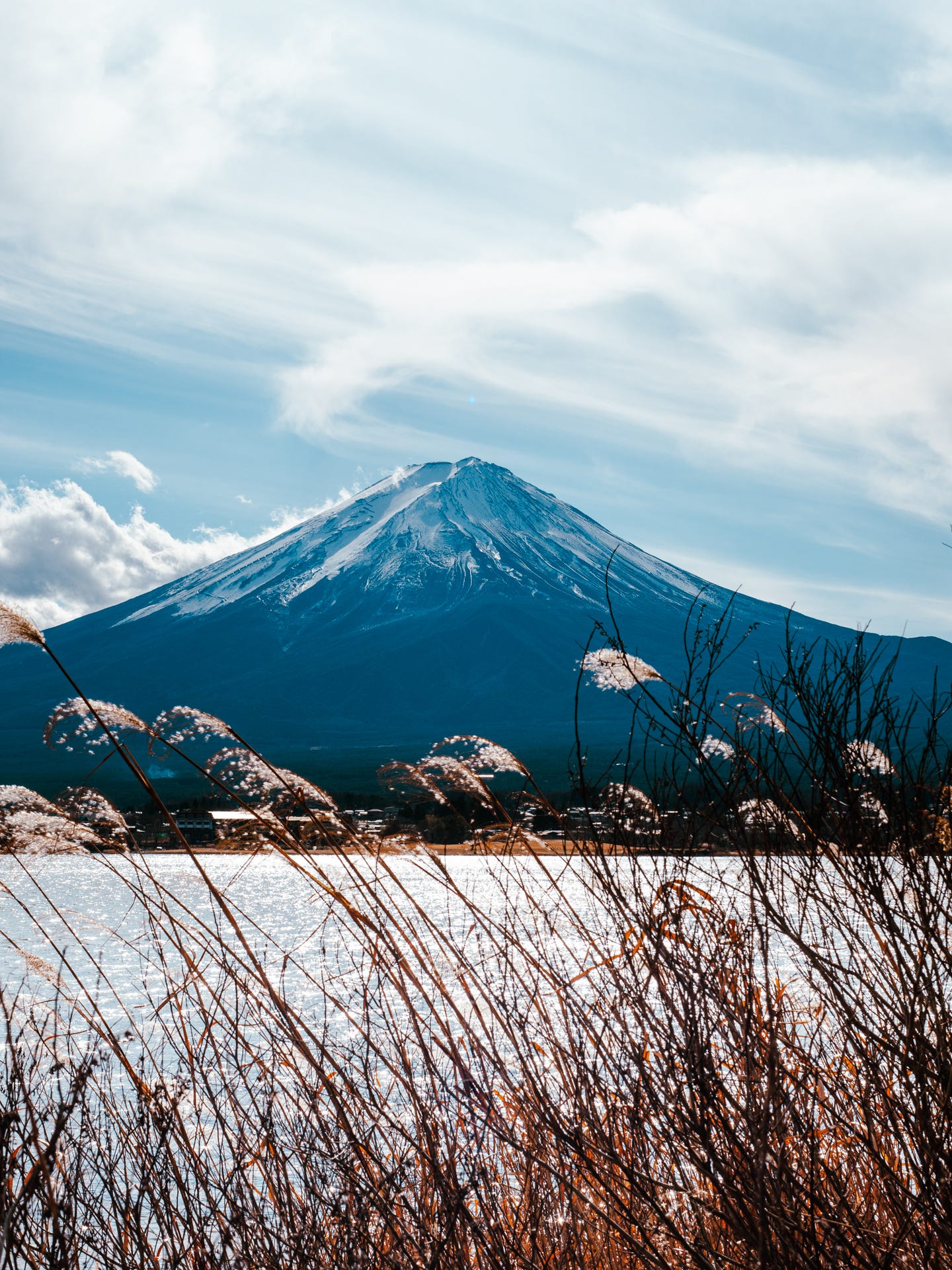 Mt. Fuji
