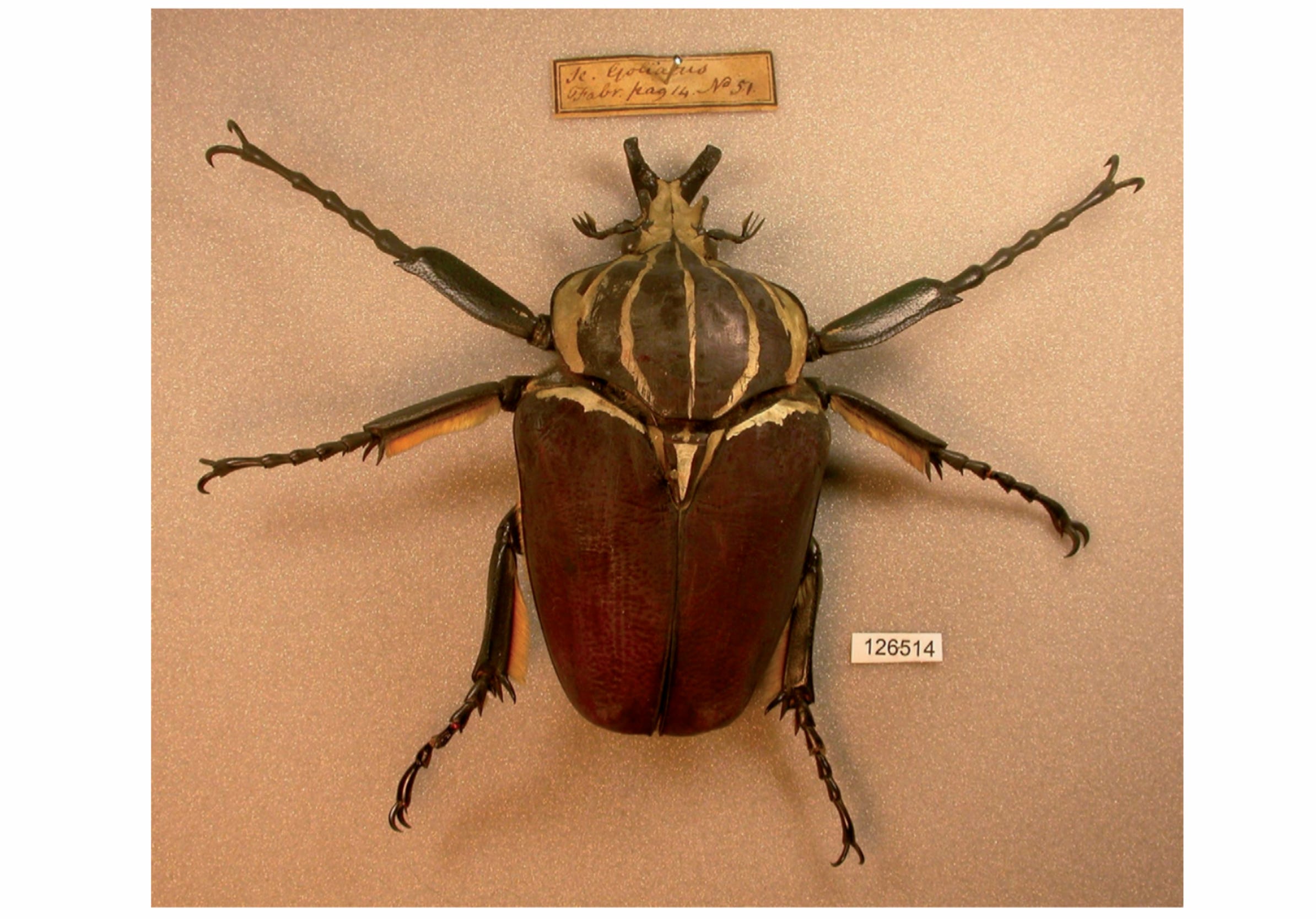 b4606945-a7d6-4c60-a3c0-