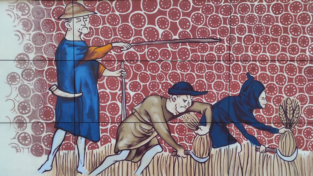 remences-planes-hostoles-detall1