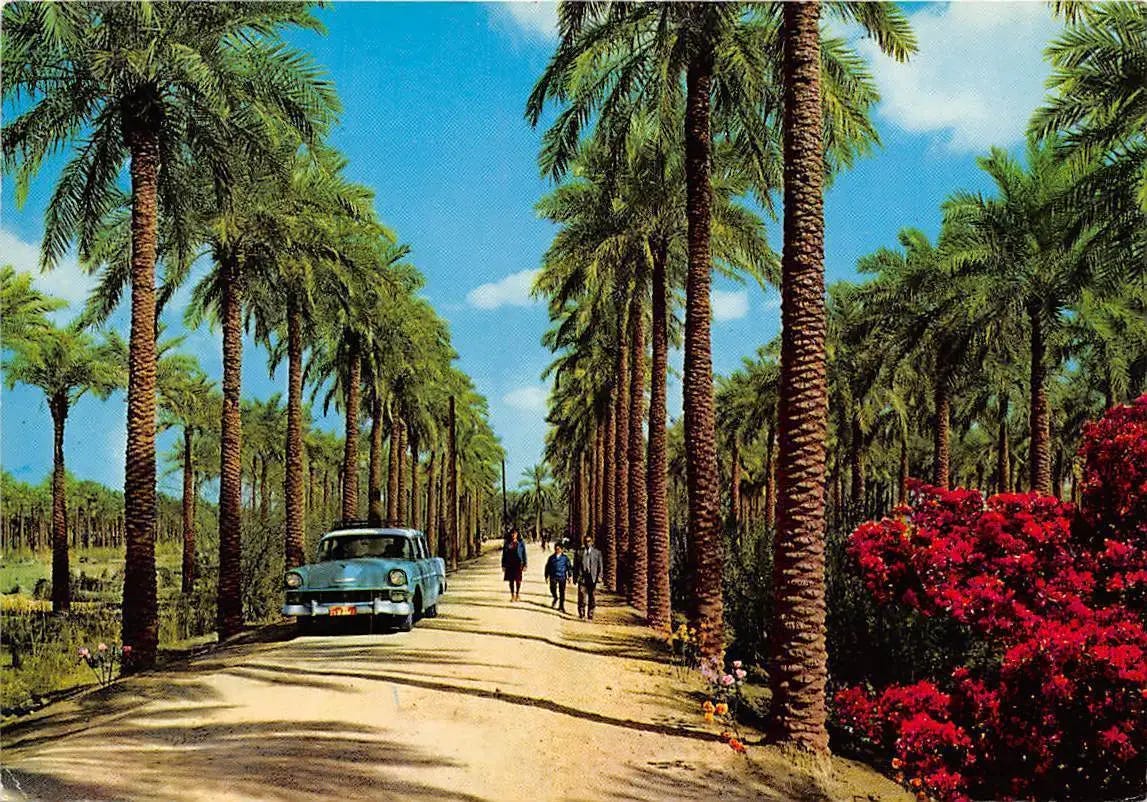 IMG_9146.webp IMG_9146.webp