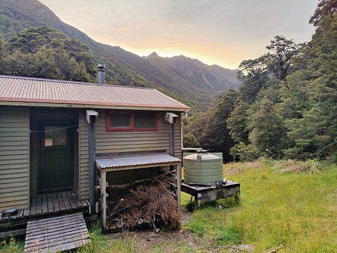 Various images from Wangapeka hiking route between Wangapeka Saddle and Taipō Hut