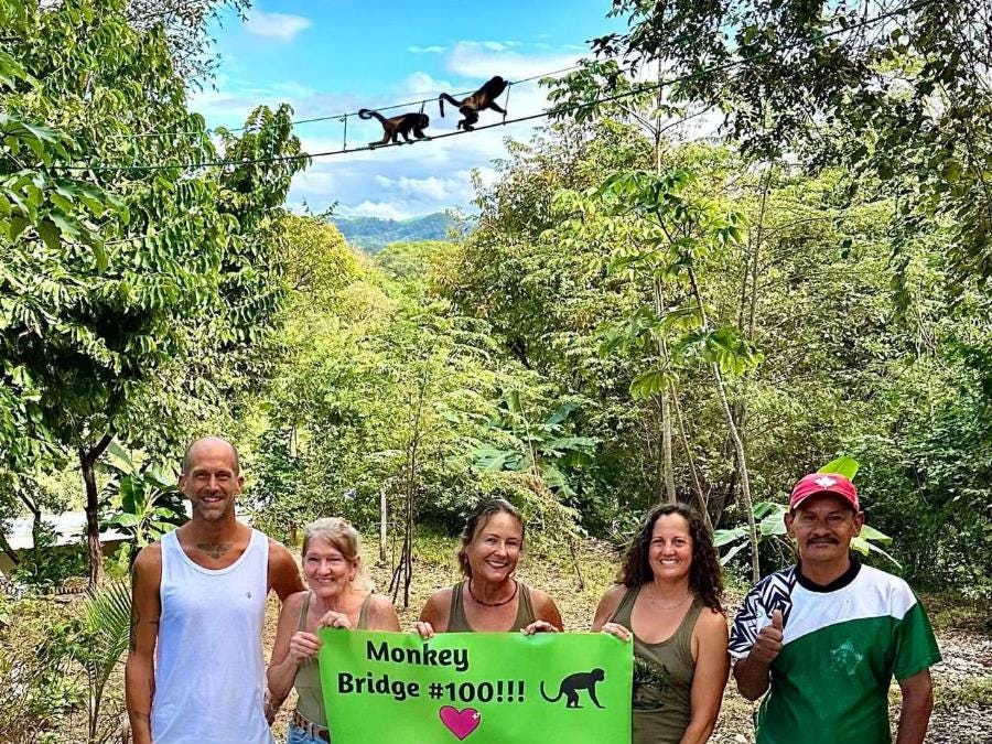 Monkey Bridge Building