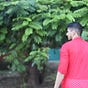 RajSingh's avatar