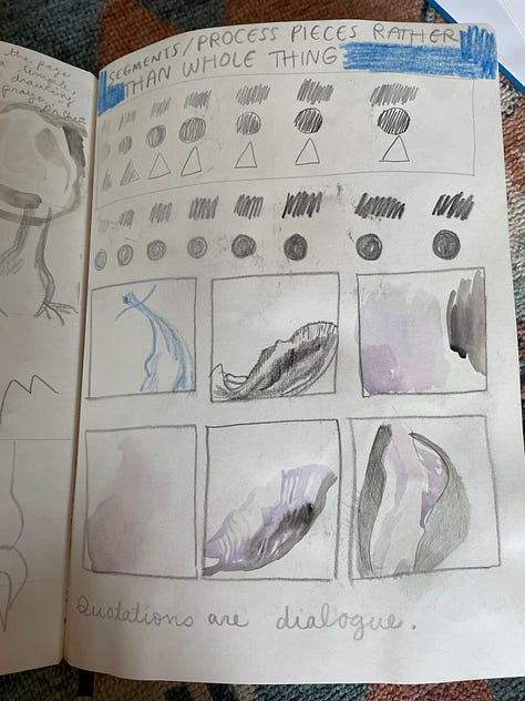 drawings of flowers in pencil, watercolor, and gouache