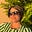 Katie Barrie's avatar