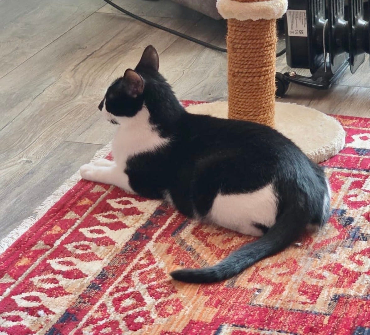 No photo description available.