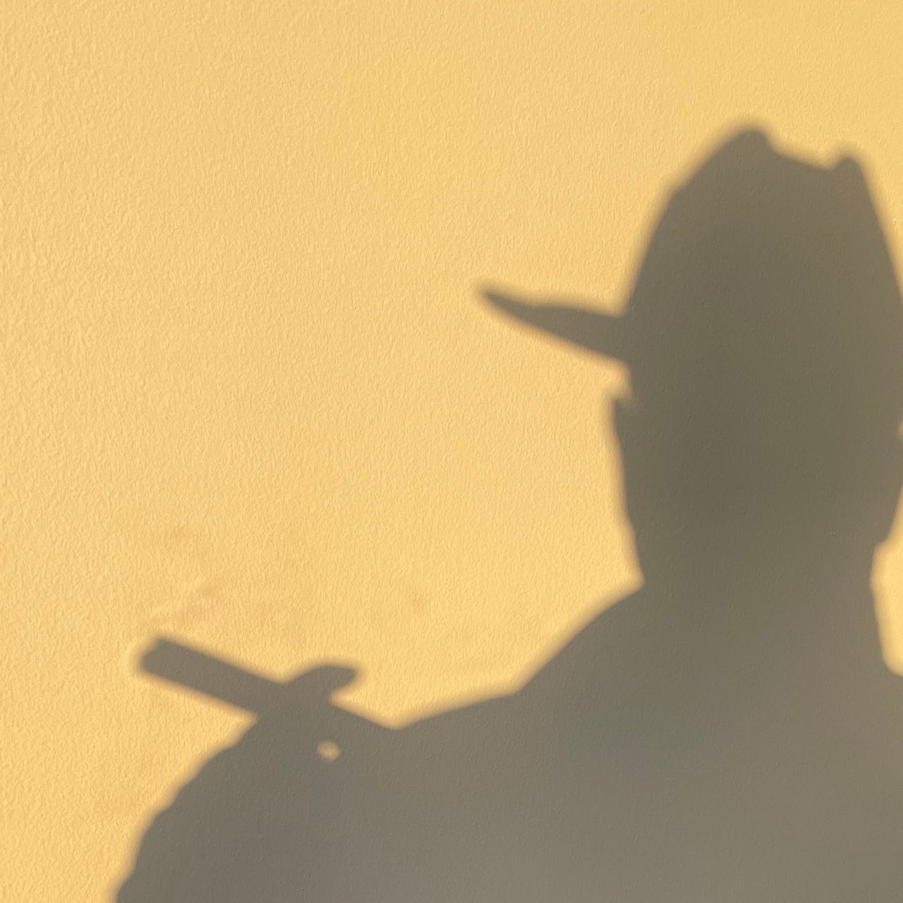 Animals Are Dangerous