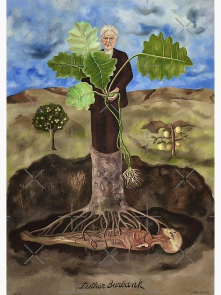 Portrait of Luther Burbank by Frida Kahlo Canvas Print