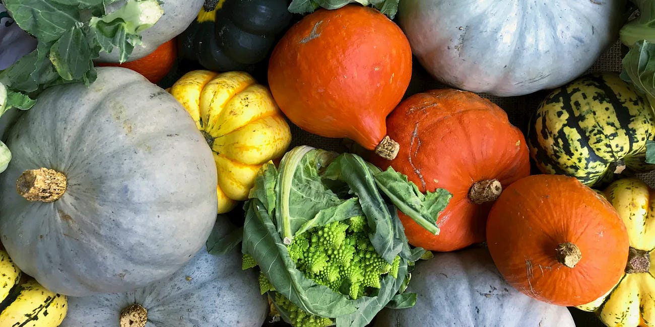 L'intestin, notre "deuxième cerveau" et notre santé