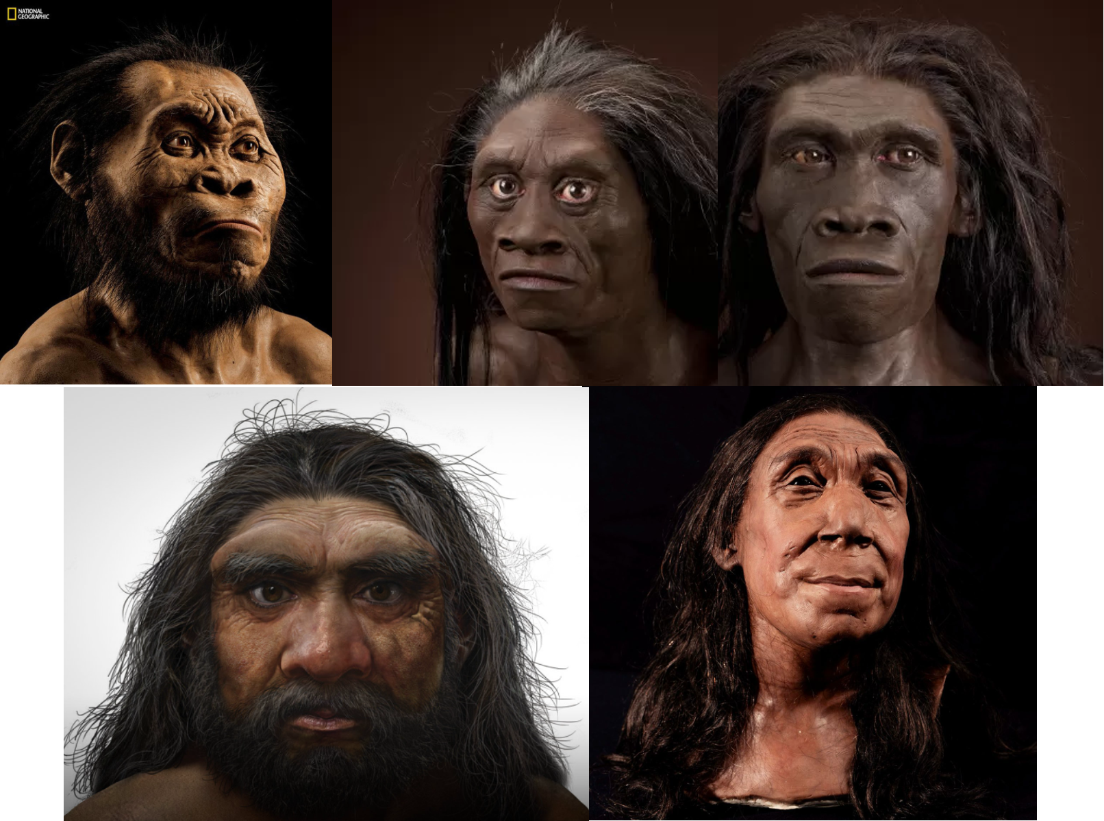 Islamic Models of Human Origin: A Gentle Introduction (Part 1)