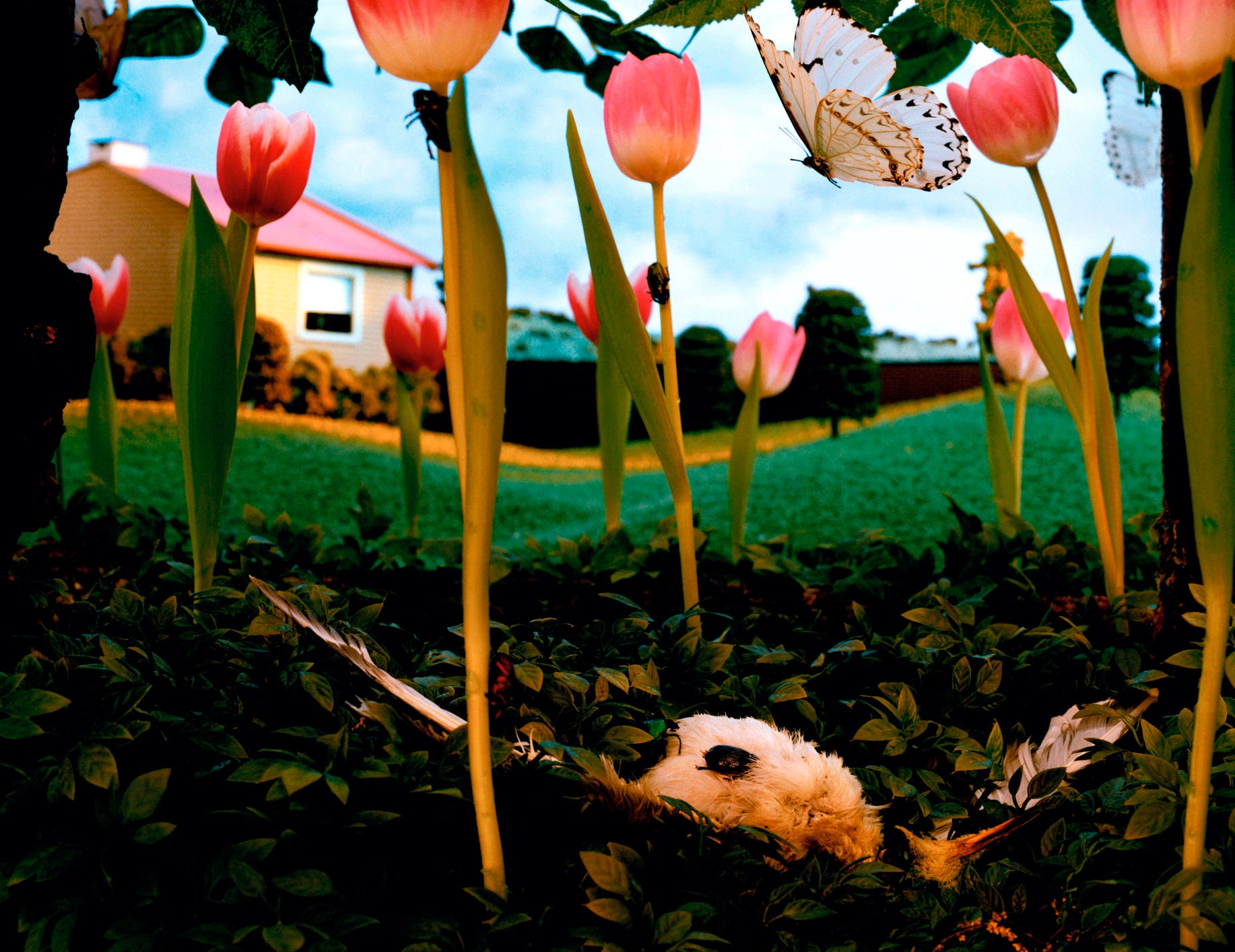 Forever, In Dreams - by Gregory Crewdson