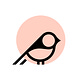 VC Birds
