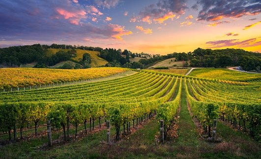 I Kings 21 - Justice and the Vineyard (The Bible's Answer for Justice, Part  1) | Christians Engaged  | Dr. Marcus Peter