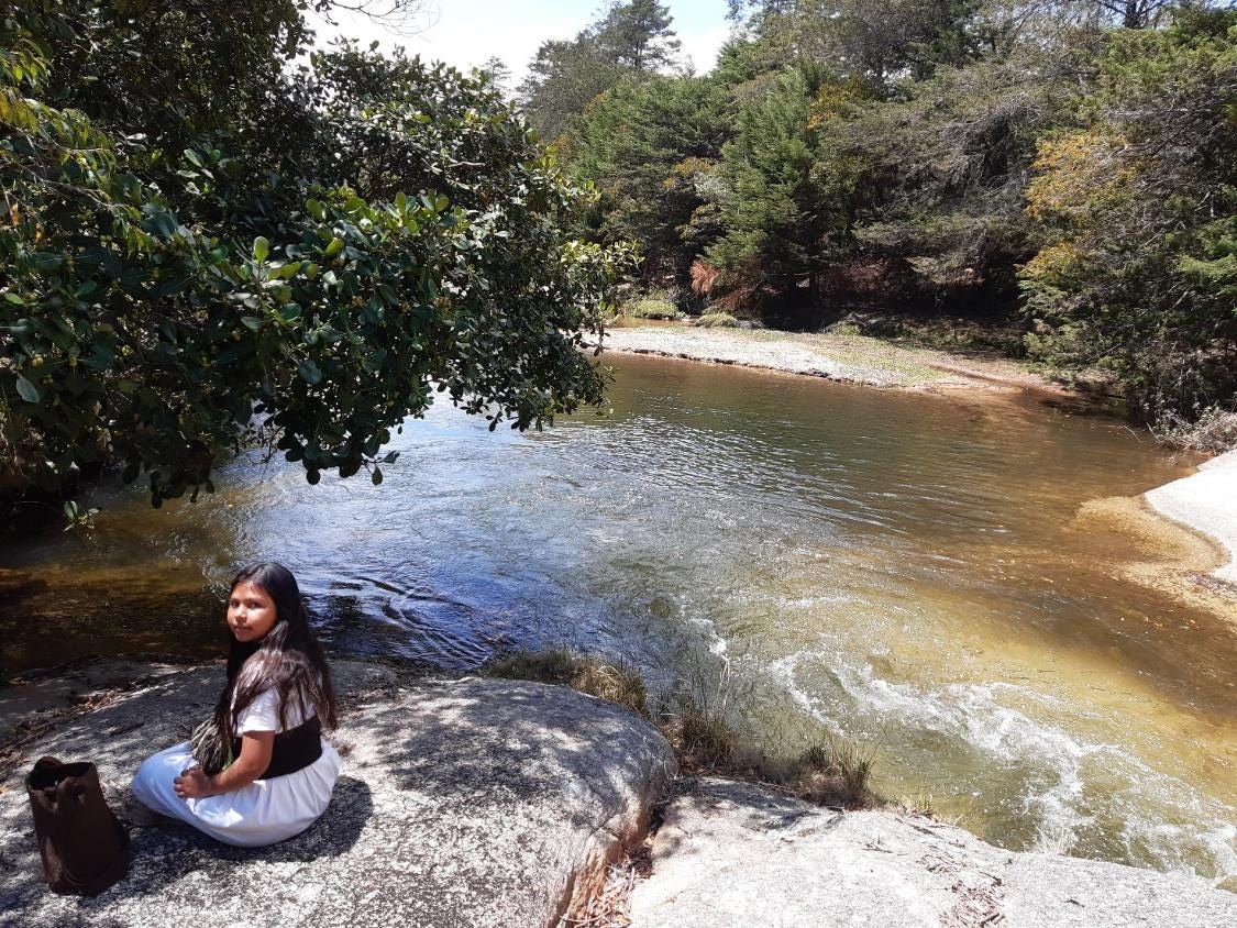 Immagine che contiene aria aperta, albero, acqua, fiume

Il contenuto generato dall'IA potrebbe non essere corretto.