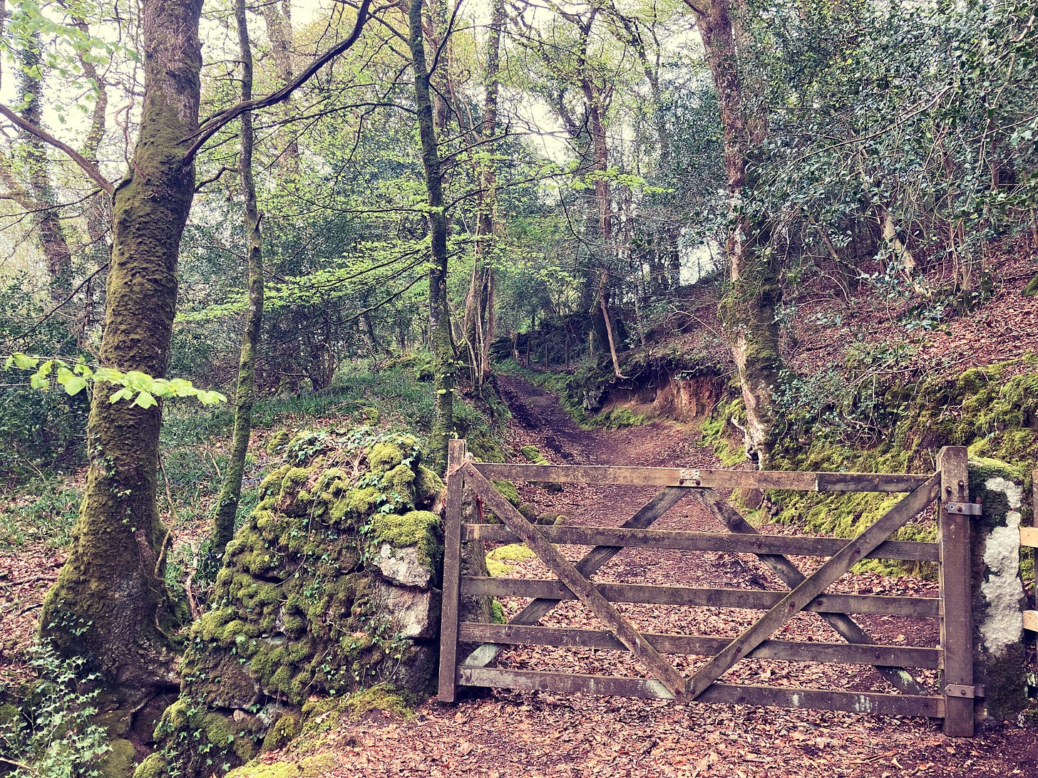 upload in progress, 0