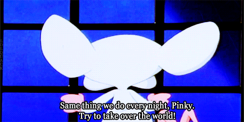 Same Thing We Do Every Night Pink GIFs - Find & Share on GIPHY