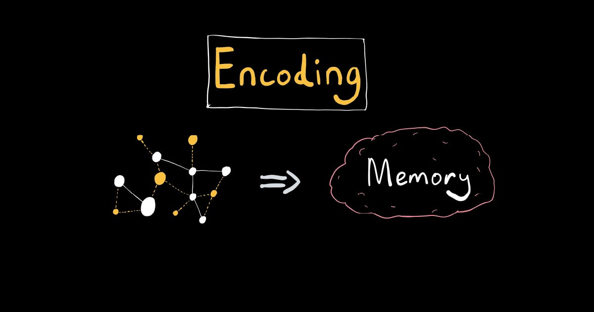 How to Memorize Large Amounts of Information Quickly (Encoding Guide)