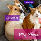 Autism Feelings: The Hope of Unlocking My Anxiety and Depression (and the Fear of Failing to Do So), Part One