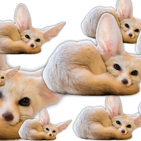 Introducing: Bundles!