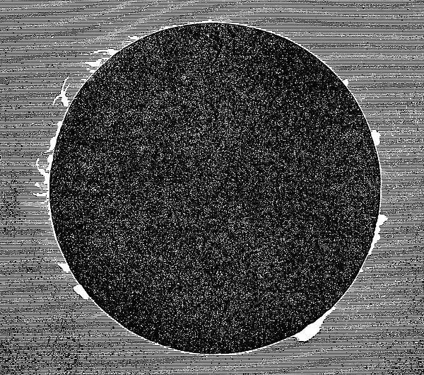 marsreview.org